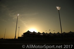 Formula 1 ™ GP Abu Dhabi Pre GP 2017   0060