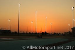 Formula 1 ™ GP Abu Dhabi Day2 2017   0161
